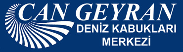 Can Geyran Deniz Kabukları Logo